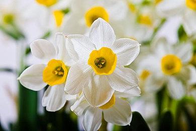 《往日不再》总监：游戏不会出续作、索尼高层不喜欢